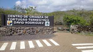 Visitar el Centro de Crianza de Tortugas Terrestres David Rodríguez galapaguera cruceros