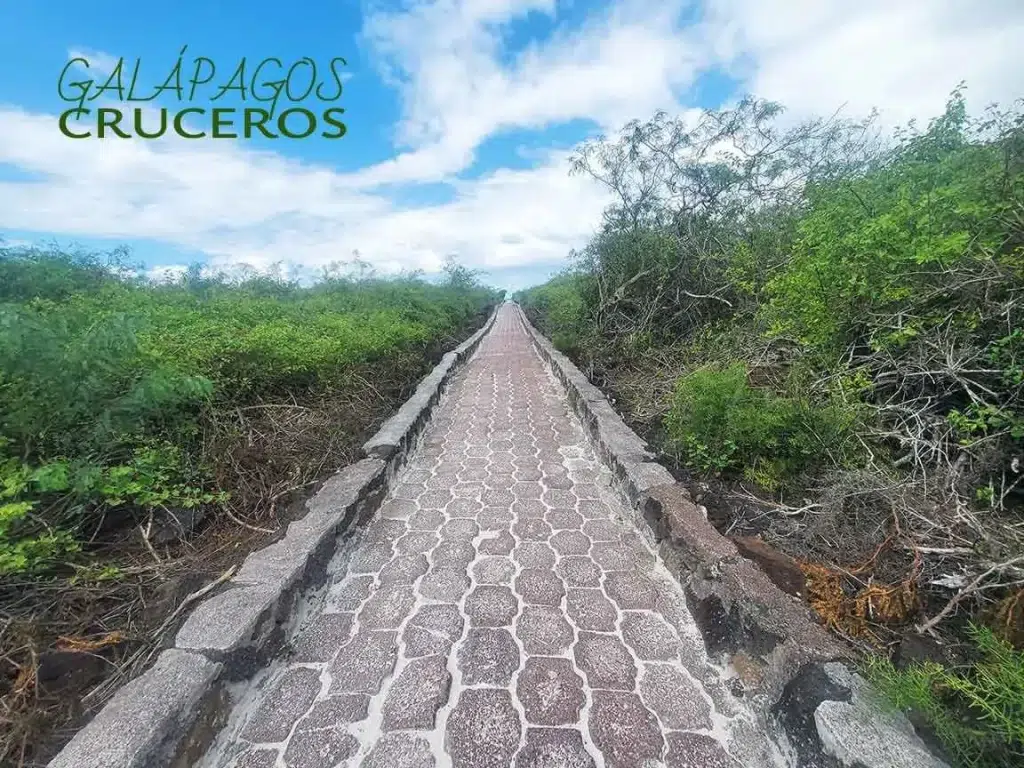 Playa brava y mansa galapagos turismo actividades en las islas galápagos