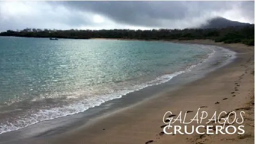playa negra galapagos turismo actividades en las islas galápago