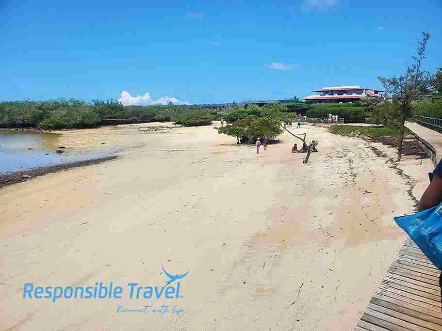 playa de los alemanes galapagos turismo actividades en las islas galápago