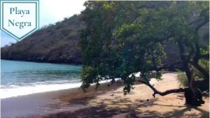 playa negra galapagos turismo actividades en las islas galápago
