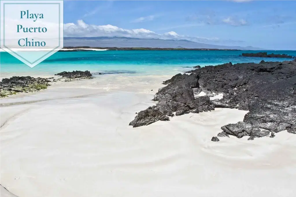 Playa puerto chino galapagos turismo actividades en las islas galápagos