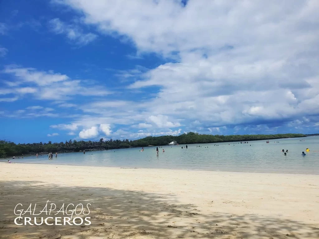 Playa brava y mansa galapagos turismo actividades en las islas galápagos