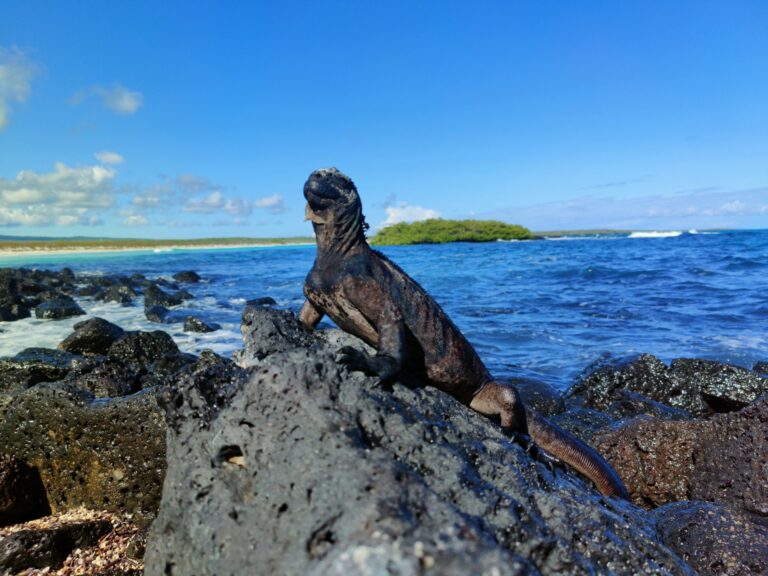 Isla Santa Cruz Galápagos