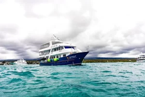 crucero calipso galápagos buceo