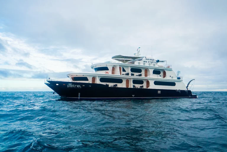 crucero petrel de lujo por galápagos tour catamaran