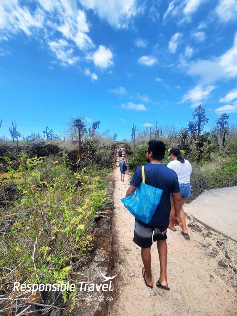 las grietas galápagos turismo actividades en las islas galápagos