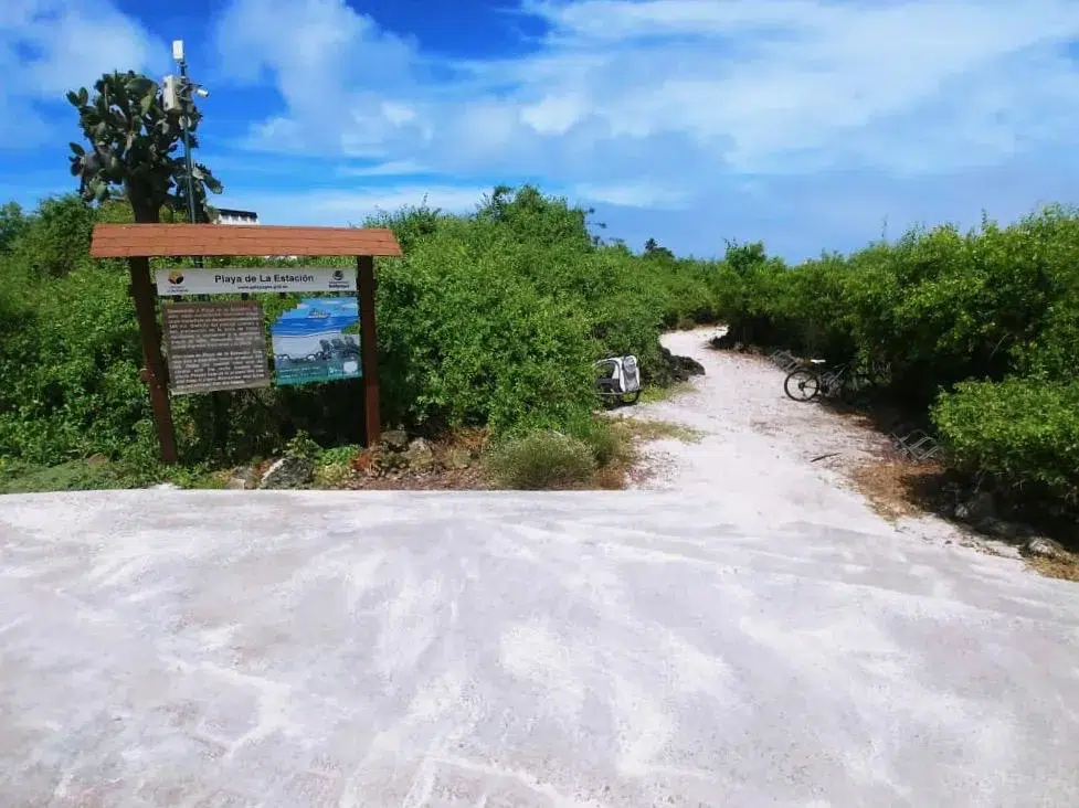 mejores playas de santa cruz galápagos turismo actividades en las islas galápagos