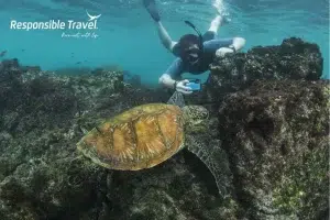 excursiones en galápagos turismo actividades en las islas galápagos