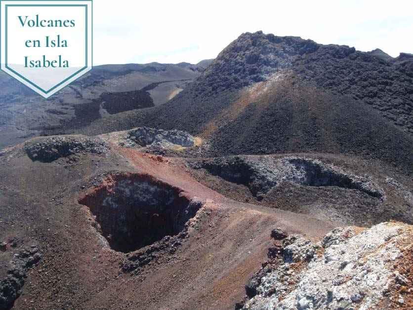 volcanes de isla isabela en galápagos turismo actividades en las islas galápagos
