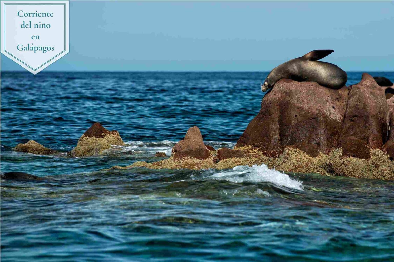 Corriente del niño en las Islas Galápagos