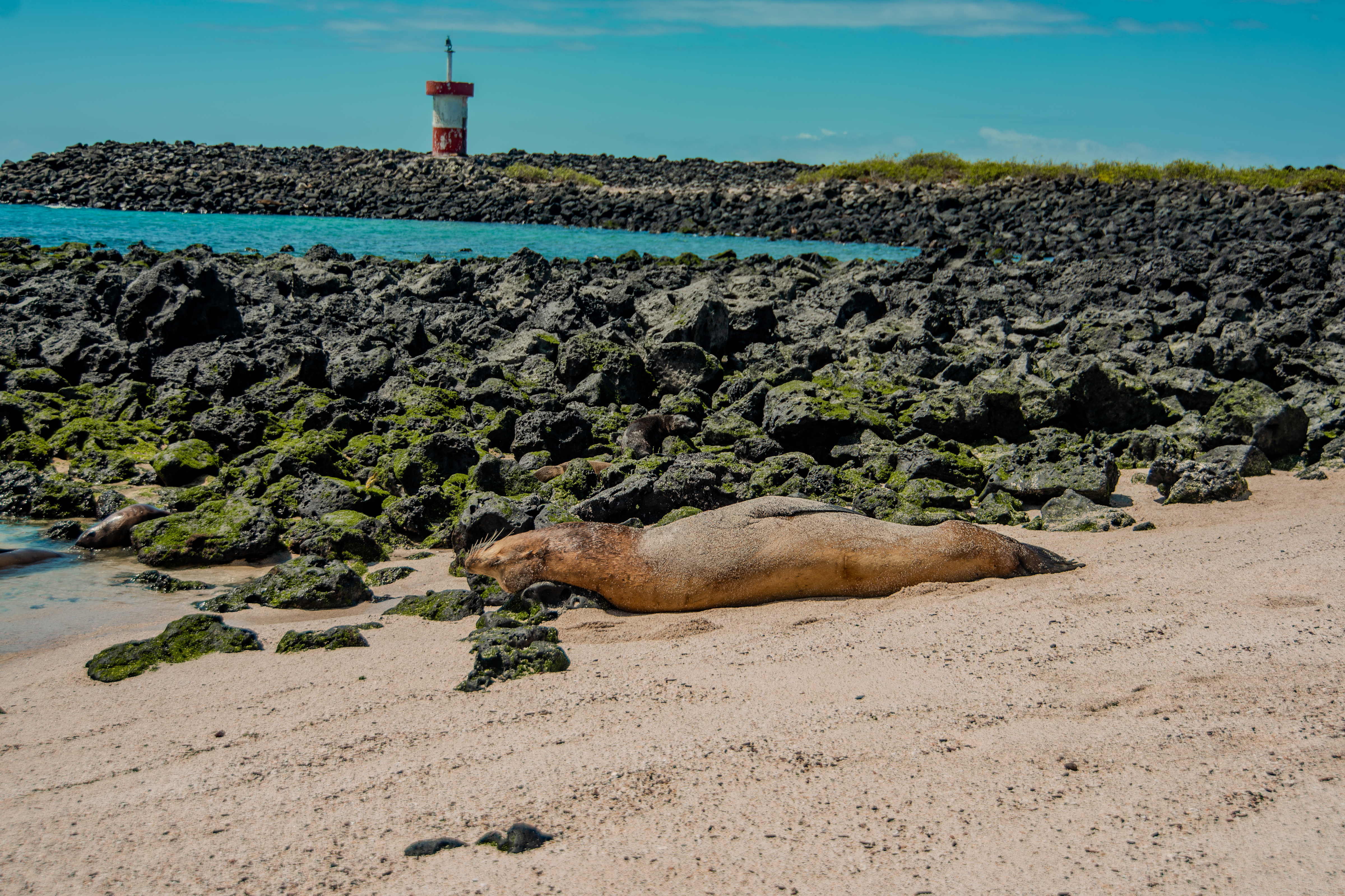 tour 4 días 3 noches galapagos