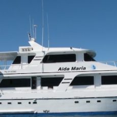 Aida_Maria