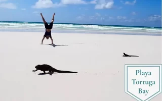 Playa tortuga bay galapagos turismo actividades en las islas galápagos