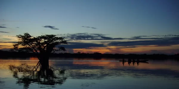 Jungle-sunset-Laguna-Grande-with-canoe-3