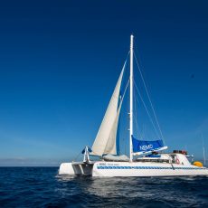 crucero-nemo-i-galapagos