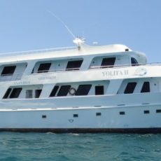 Crucero Yolita II