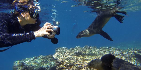 galapagos en diciembre